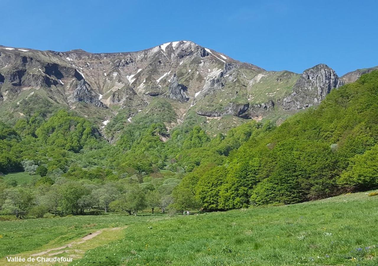 Gîte Guery Chambon-sur-Lac Extérieur photo